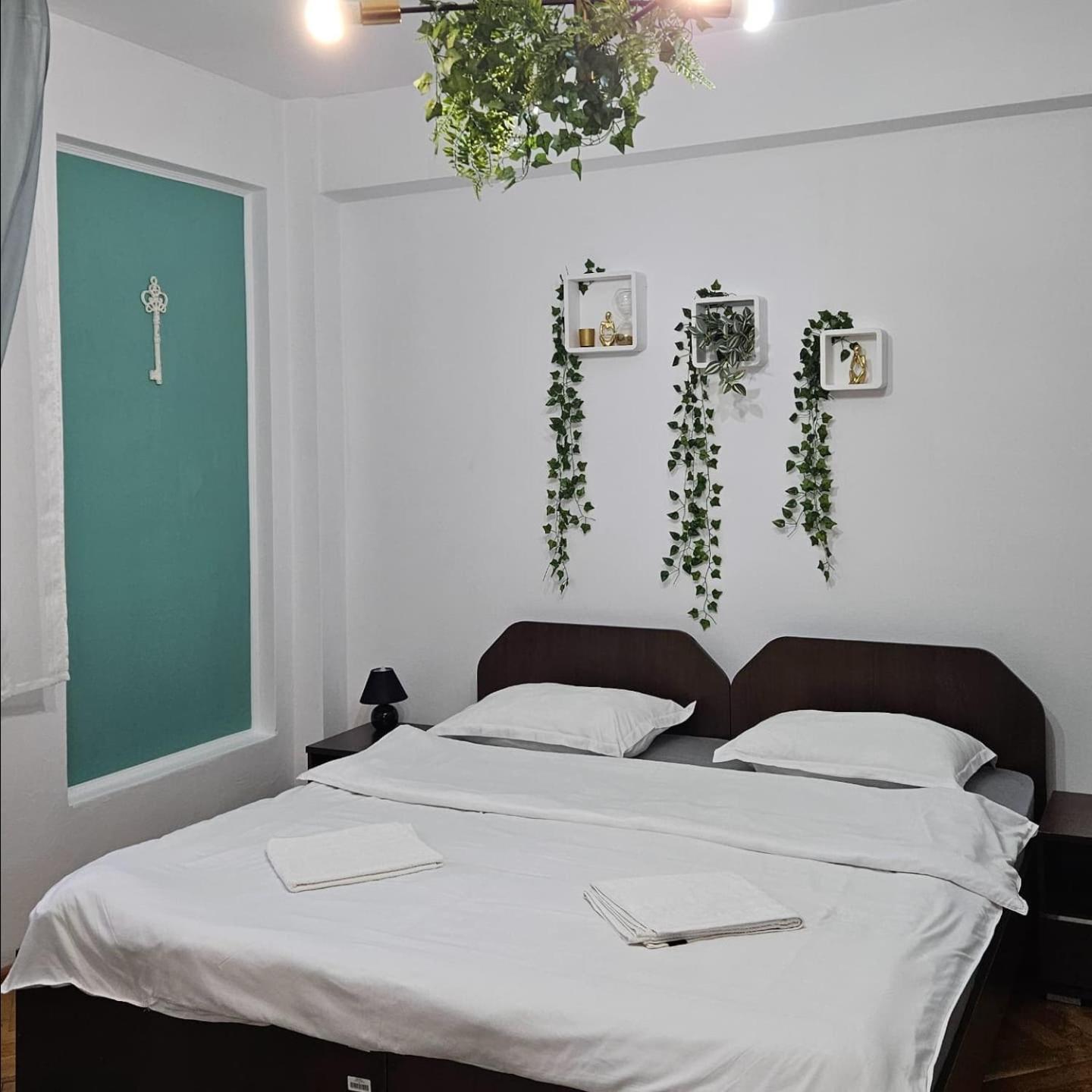 Apartment Zarnesti City Centre Vmp Free Parking Экстерьер фото
