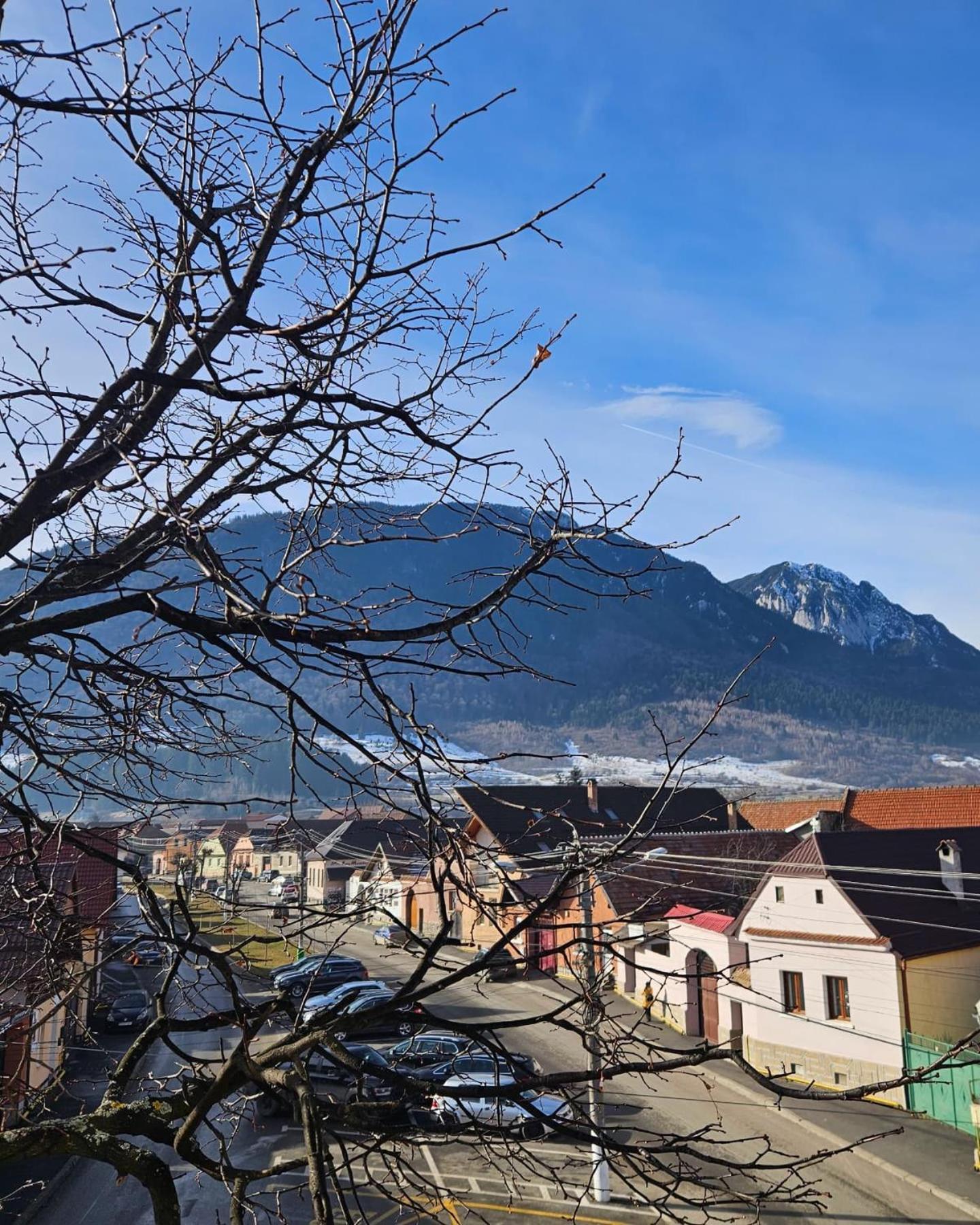 Apartment Zarnesti City Centre Vmp Free Parking Экстерьер фото